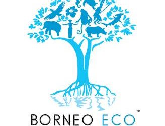 Unique opportunity at the Borneo Eco Film Festival